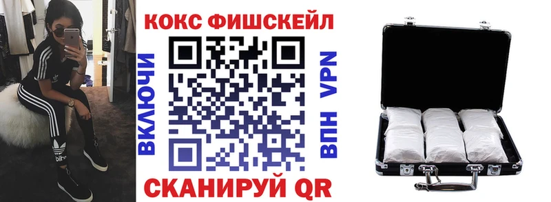 COCAIN Fish Scale  Купить где  Кремёнки 