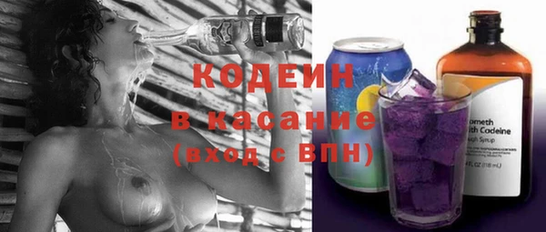 apvp Бородино