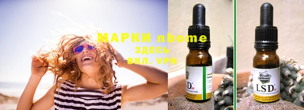 apvp Бородино