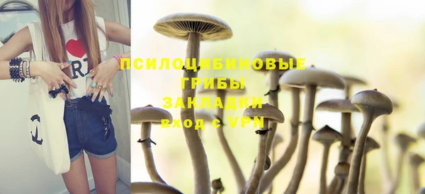 apvp Бородино