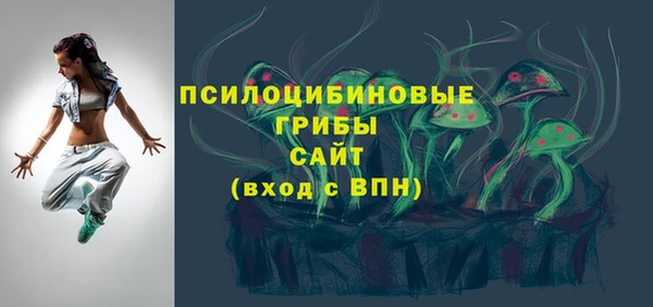 apvp Бородино