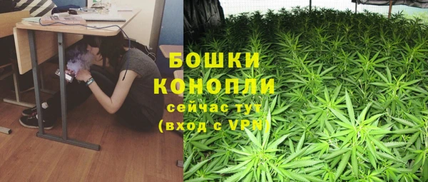 apvp Бородино