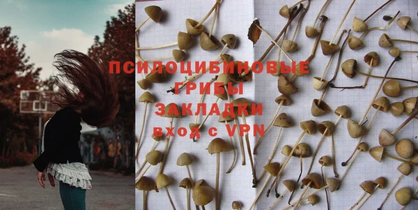 apvp Бородино