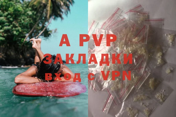 apvp Бородино