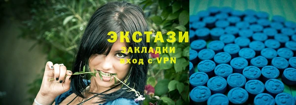 apvp Бородино