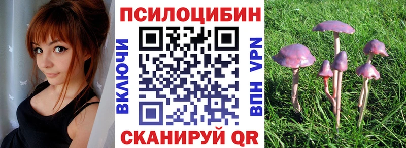 Псилоцибиновые грибы Psilocybine cubensis  Купить  Кремёнки 